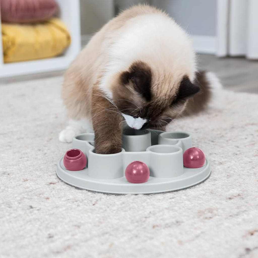 Trixie Cat Activity Pentagon Interactive Cat Toy - Cat Toys 2
