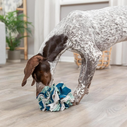 Trixie Dog & Cat Activity Snuffle Ball - Cat Toys 4