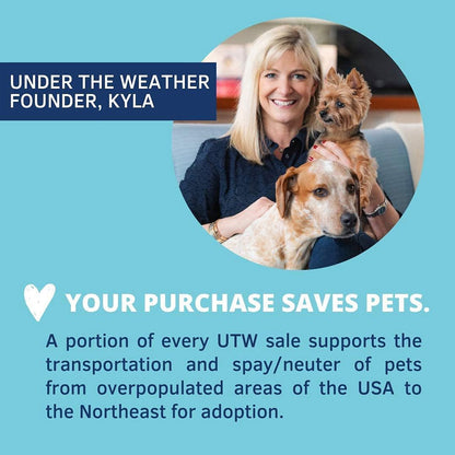 Under the Weather L-Lysine Support Powder for Cats