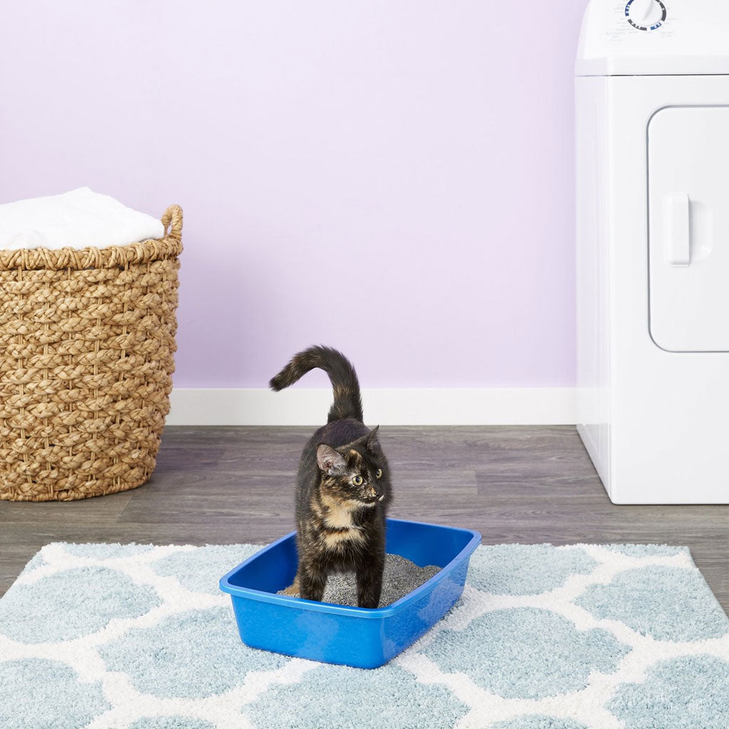 Van Ness Cat Litter Pan, Blue, Assorted Color