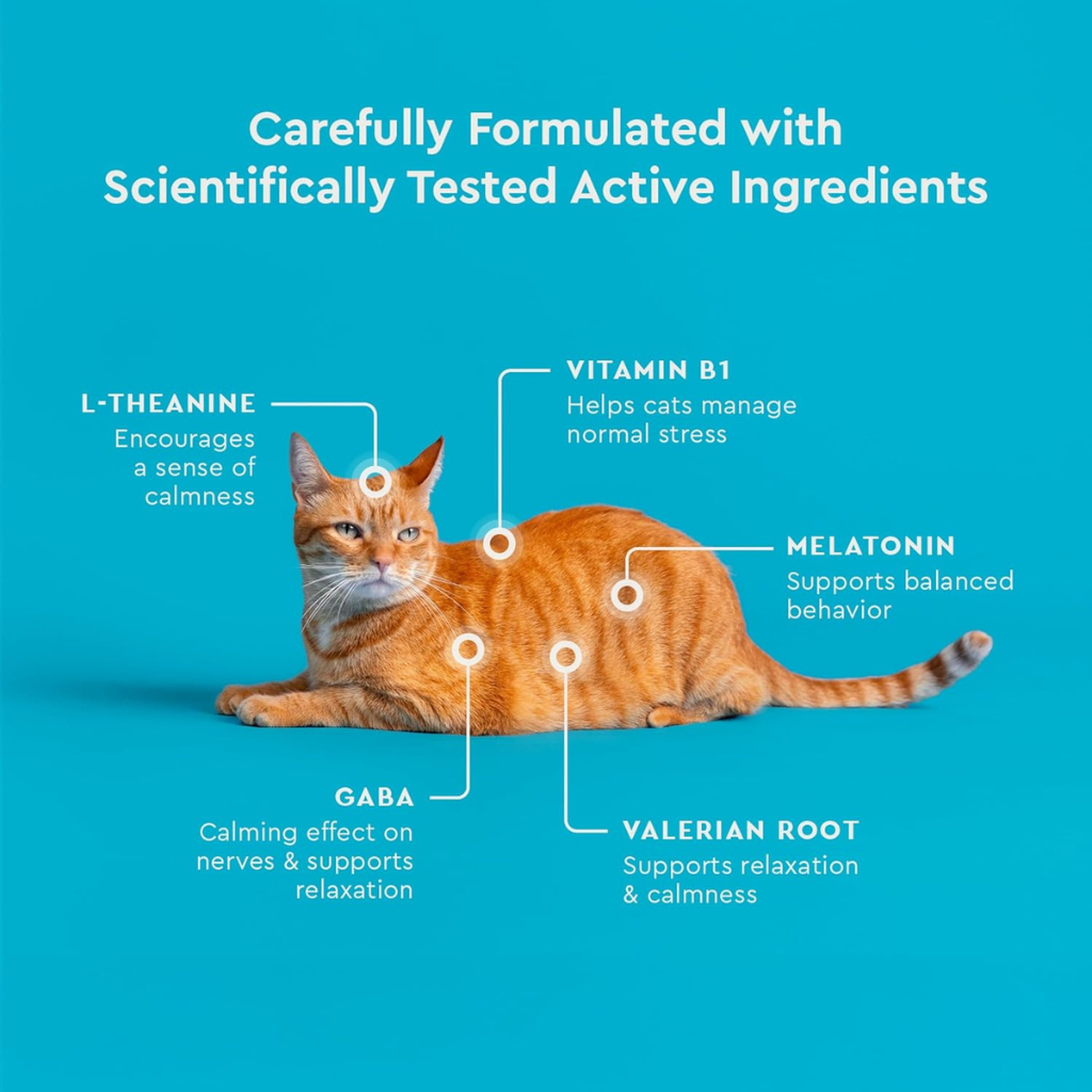 Vet IQ Calming Treats for Cats (30 Day Supply) - Dog Treats 7