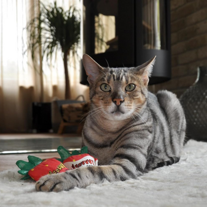 Yeowww! Strawberries Catnip Cat Toy - Cat Toys 10