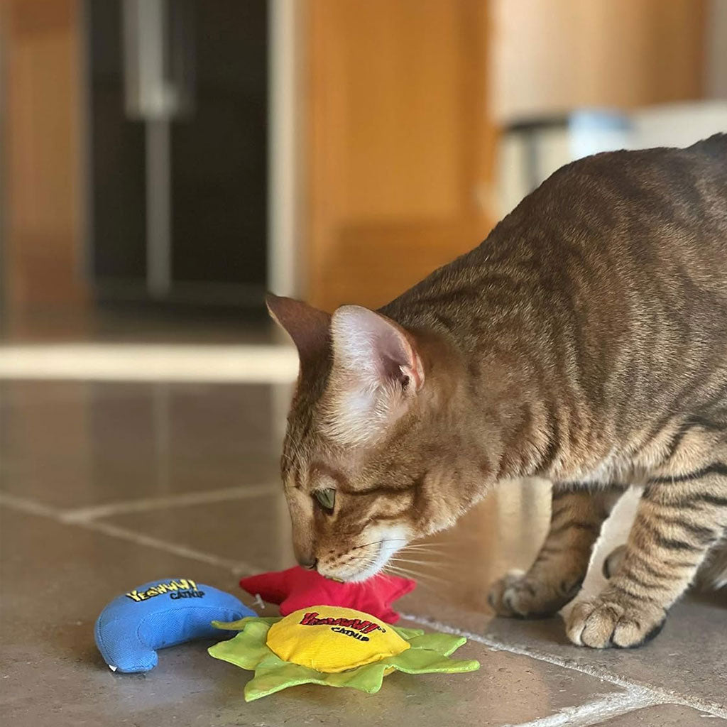 Yeowww! Sun, Moon, Stars Catnip Cat Toys