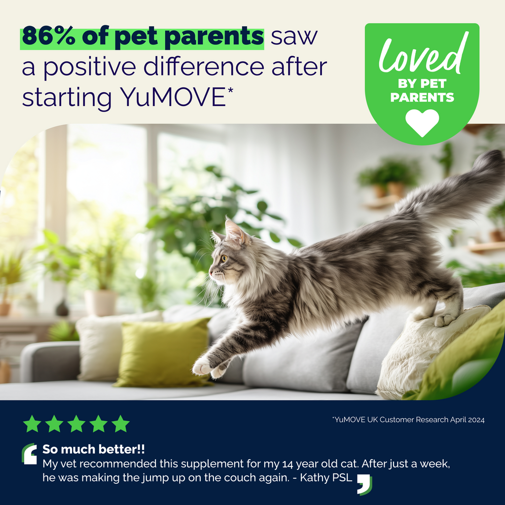 YuMOVE Joint Care for Senior Cats 60 ct - Cat Joint & Hip Supplements 10