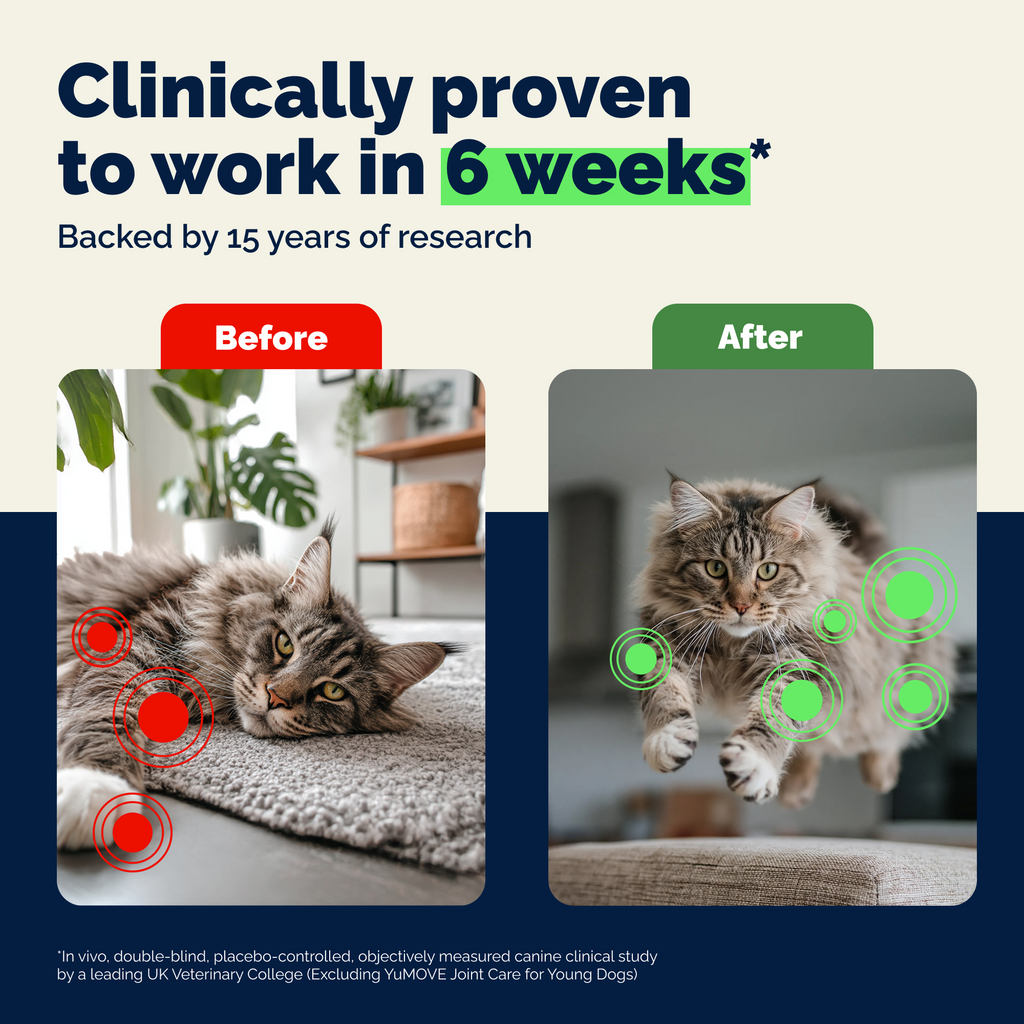 YuMOVE Joint Care for Senior Cats 60 ct - Cat Joint & Hip Supplements 5