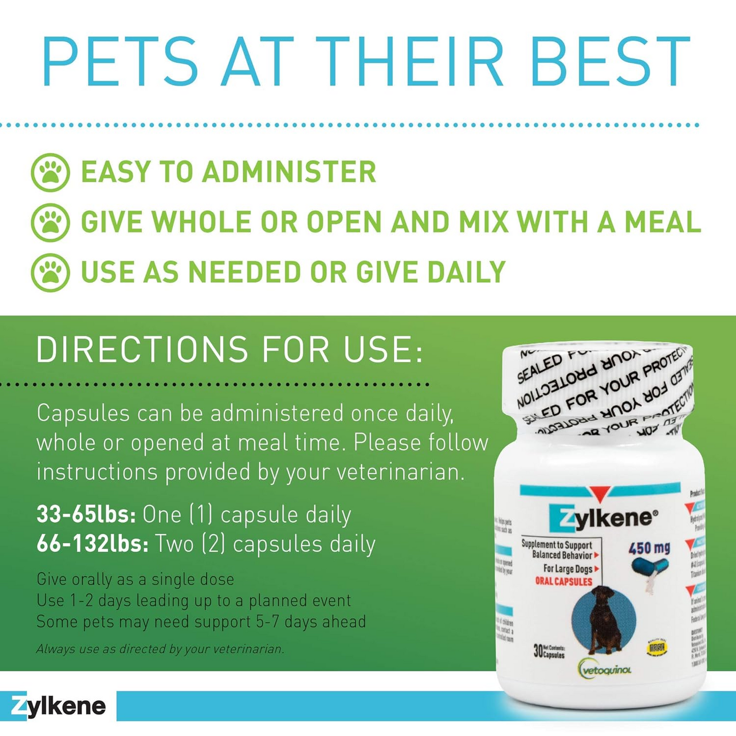 pets at their best