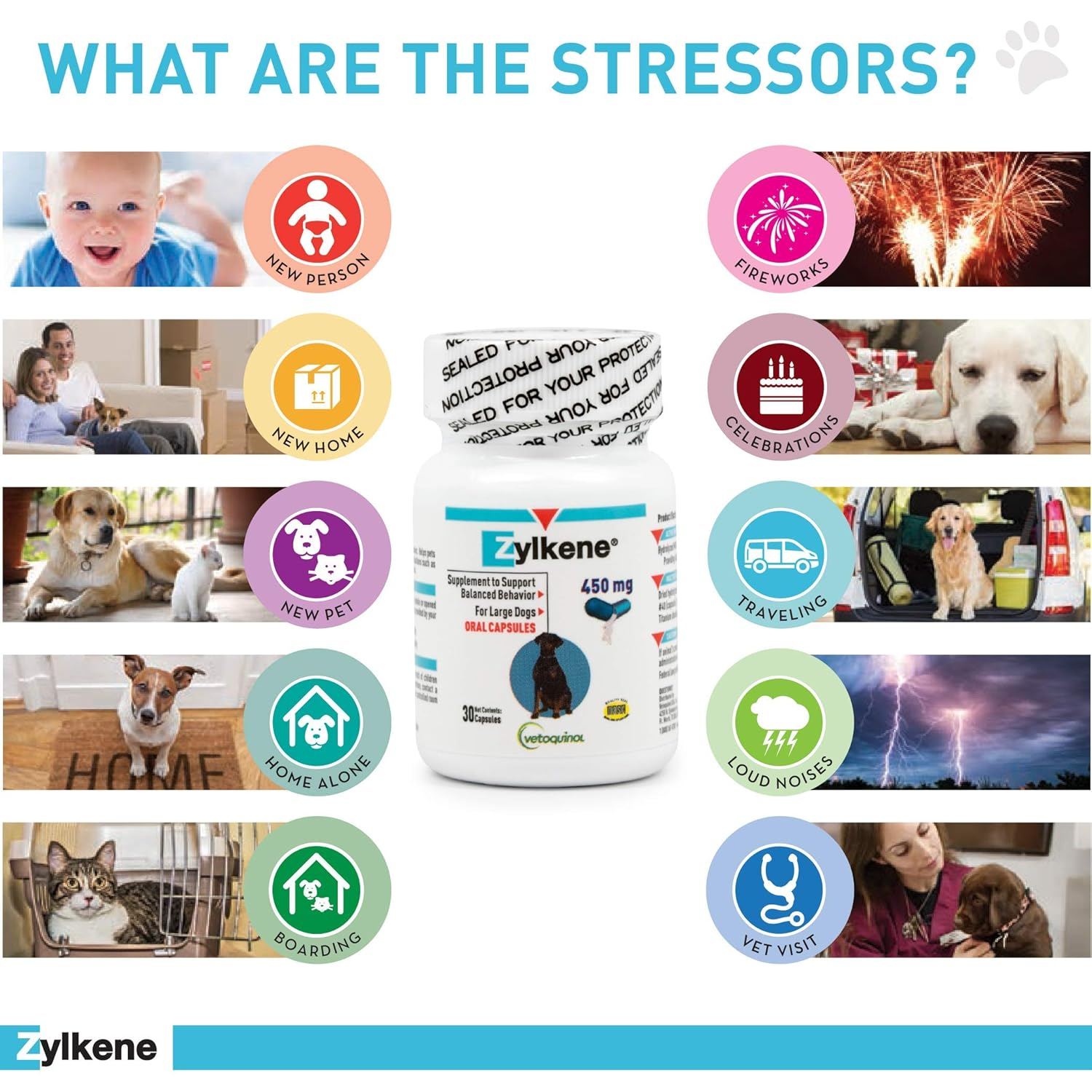 Promotes calmness without affecting alertness or personality.